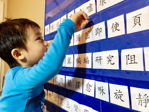 Member post: Amazing Twin Boys Who Are Reading Chinese and English At Least Two Years Above Grade Level (Sin Yee&nbsp;T.)